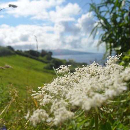 شقة Vista Do Pilar Conceicao  المظهر الخارجي الصورة