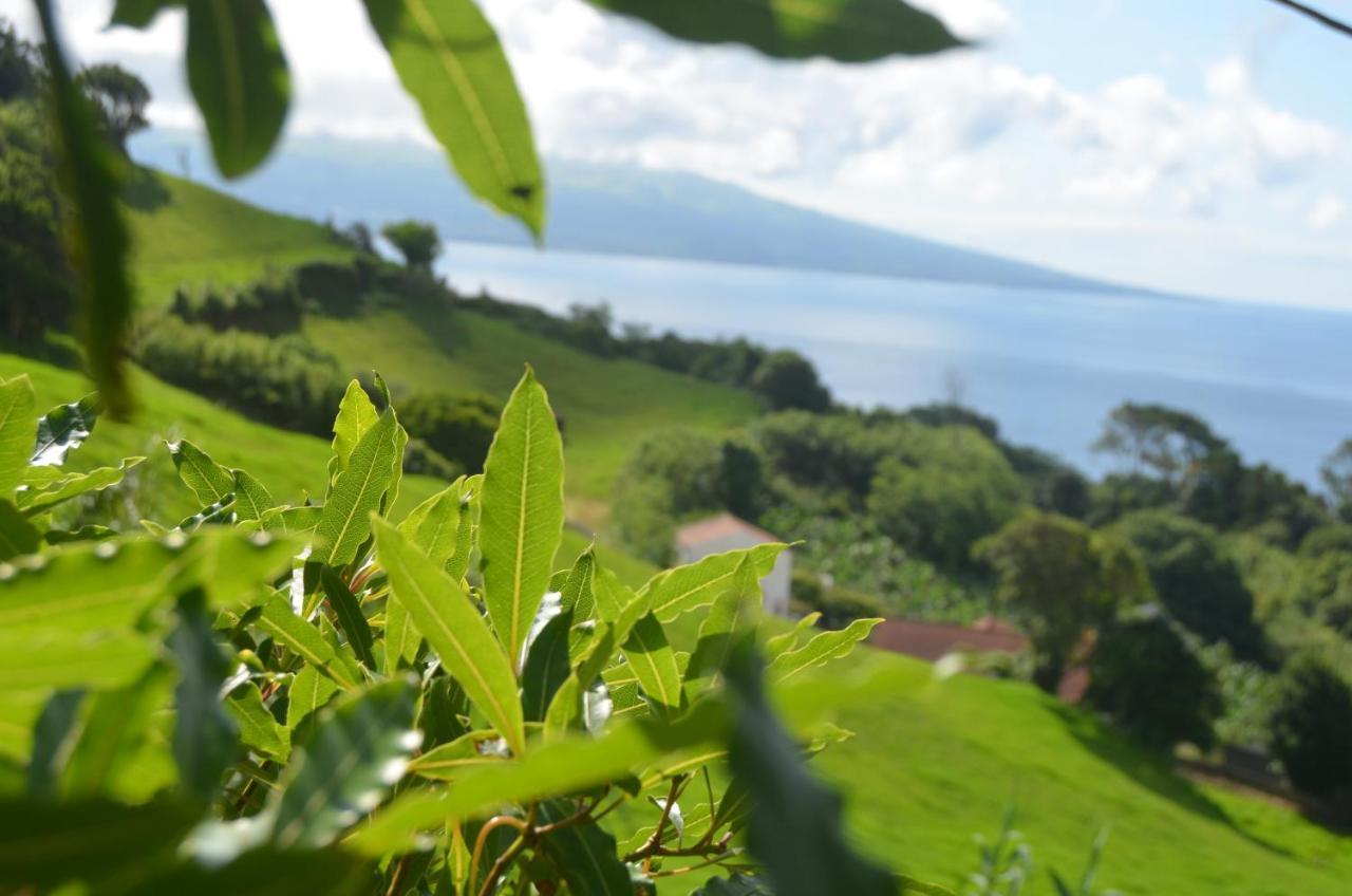 شقة Vista Do Pilar Conceicao  المظهر الخارجي الصورة